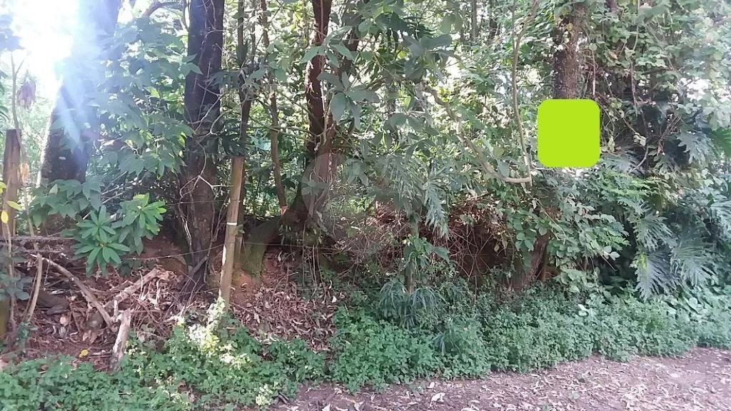 Terreno à venda em Tremembé, São Paulo, SP