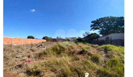Terreno à venda em Jardim Coimbra, Ponta Porã, MS