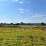 Lote a venda no Essenza