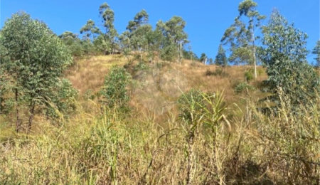 Terreno à venda em Caete (mailasqui), São Roque, SP