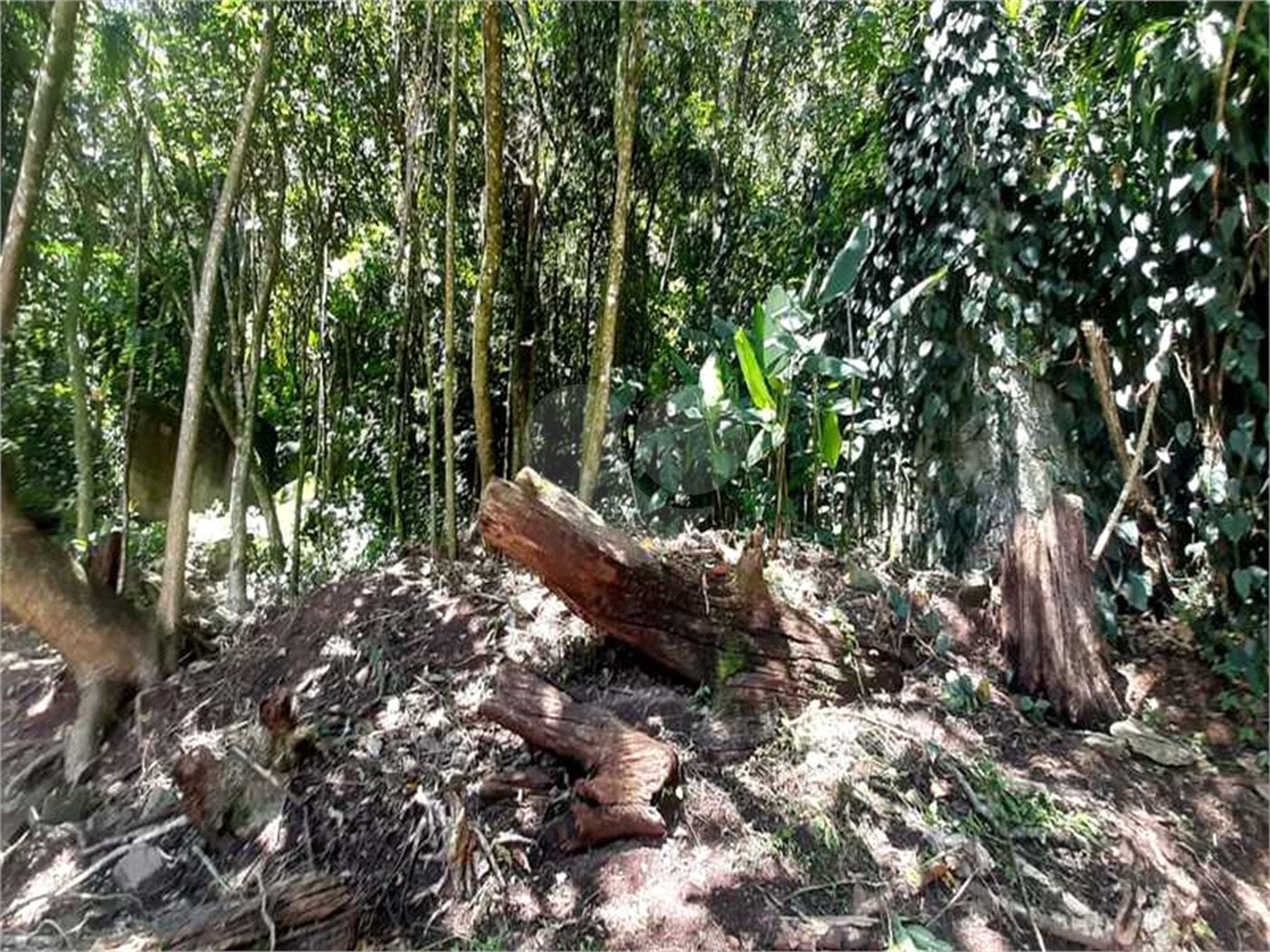 Terreno à venda em Serra da Cantareira, Mairiporã, SP