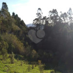 Terreno à venda em Serra da Cantareira, Mairiporã, SP