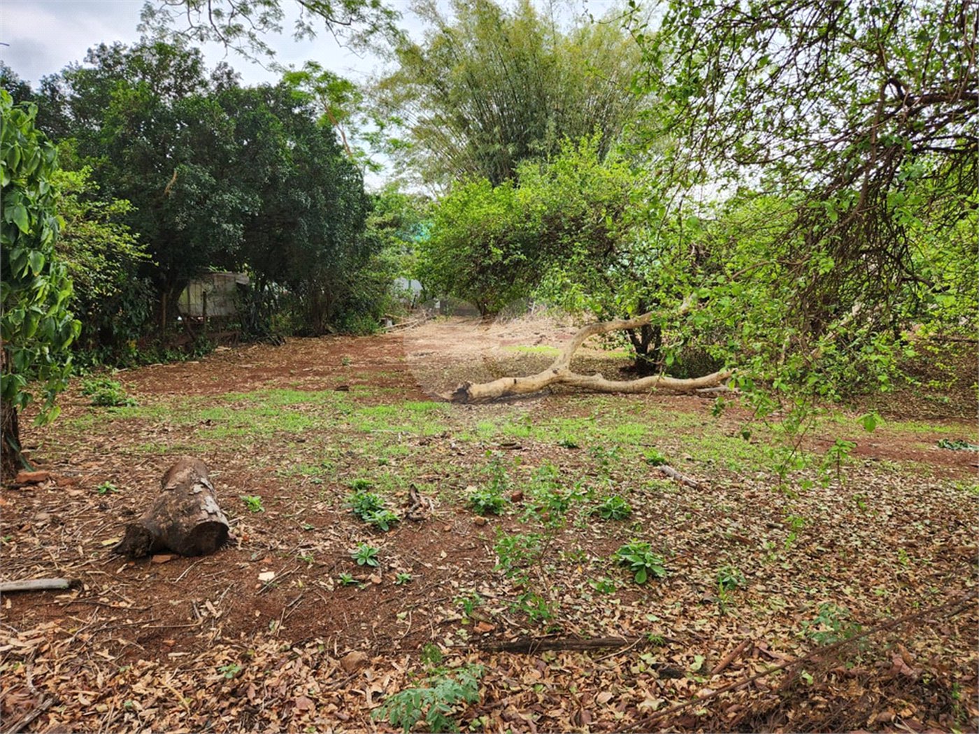 Chácara à venda com 2 quartos em Jardim Califórnia, Araraquara, SP