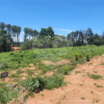 Terreno à venda no condomínio Estäncia Parque de Atibaia, Atibaia - SP