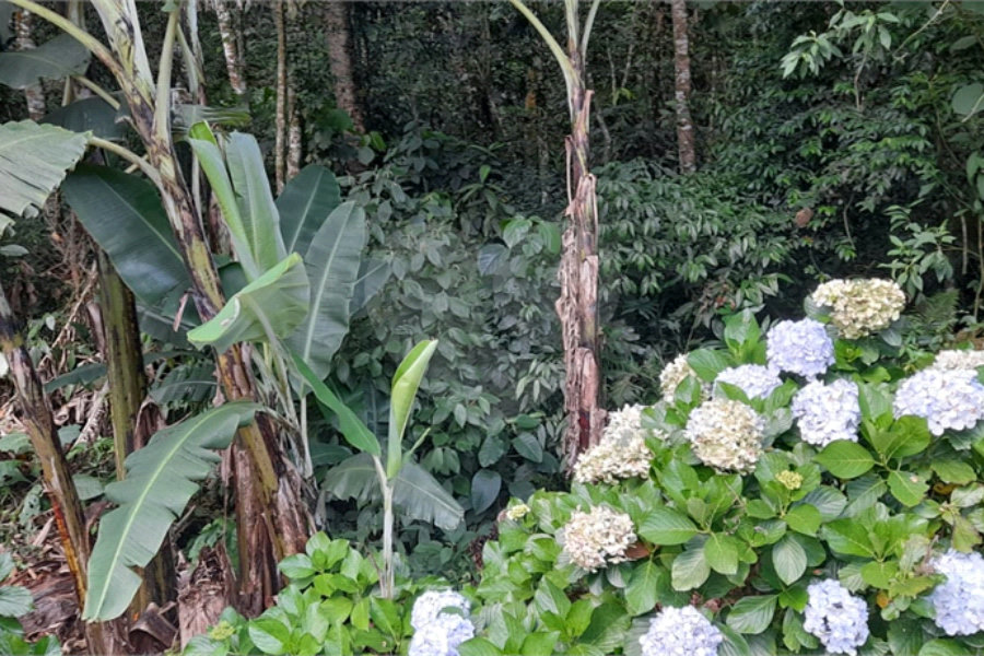 Terreno à venda em Roseira, Mairiporã, SP