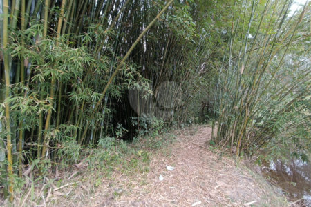 Terreno à venda em Vila Junqueira, São Roque, SP