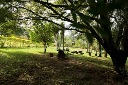 Fazenda à venda com 11 quartos no Centro, Analândia, SP