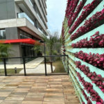 Apartamento à venda com 2 quartos, sendo 1 suíte, em Ipiranga, São Paulo, SP