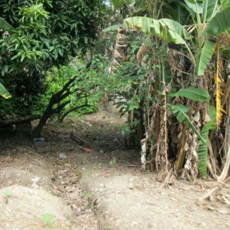 Terreno à venda em Jardim Jussara, São Paulo, SP