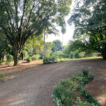 Terreno à venda com 1 suíte no Centro, Araraquara, SP