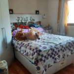 Sobrado à venda com 2 quartos, sendo 1 suíte, em Horto, São Paulo, SP