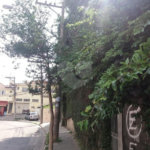 Casa Térrea à venda com 3 quartos, sendo 1 suíte, em Tremembé, São Paulo, SP