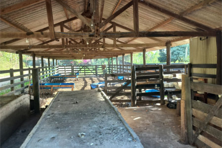 Sítio à venda com 3 quartos no Centro, Descalvado, SP
