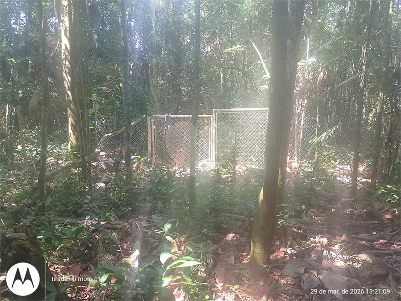 Terreno à venda em Dos Finco, São Bernardo do Campo, SP