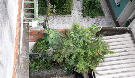Terreno à venda com 1 quarto em Jaçanã, São Paulo, SP