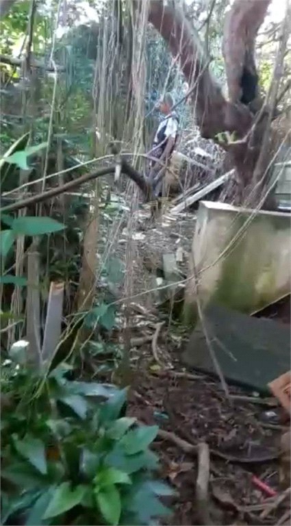 Terreno à venda com 1 quarto em Chora Menino, São Paulo, SP