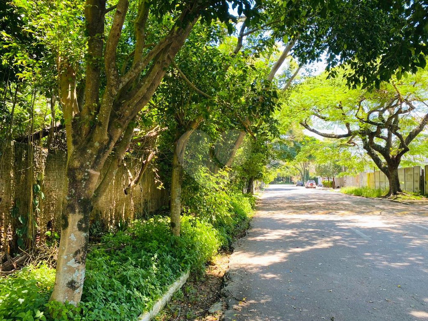 Terreno à venda em Interlagos, São Paulo, SP