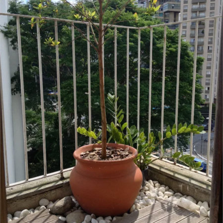 Apartamento à venda com 2 quartos em Vila Andrade, São Paulo, SP