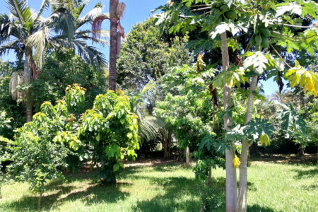 Chácara à venda com 3 quartos, sendo 1 suíte, em Barreirinho, Araçoiaba da Serra, SP