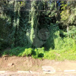 Terreno à venda no condomínio Parque Imperial da Cantareira, Mairiporã - SP