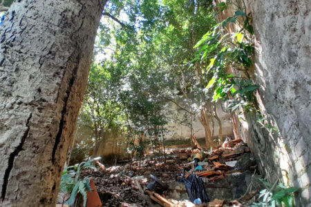 Casa à venda com 4 quartos em Vila Ipojuca, São Paulo, SP