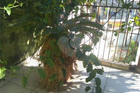 Sobrado à venda com 4 quartos, sendo 1 suíte, em Vila Medeiros, São Paulo, SP