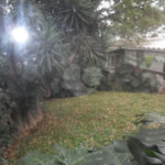 Sobrado à venda com 3 quartos, sendo 1 suíte, em Vila Albertina, São Paulo, SP