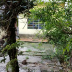 Sobrado à venda com 3 quartos, sendo 1 suíte, em Vila Maria, São Paulo, SP