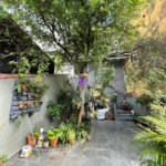 Casa à venda com 3 quartos, sendo 1 suíte, em Freguesia do Ó, São Paulo, SP