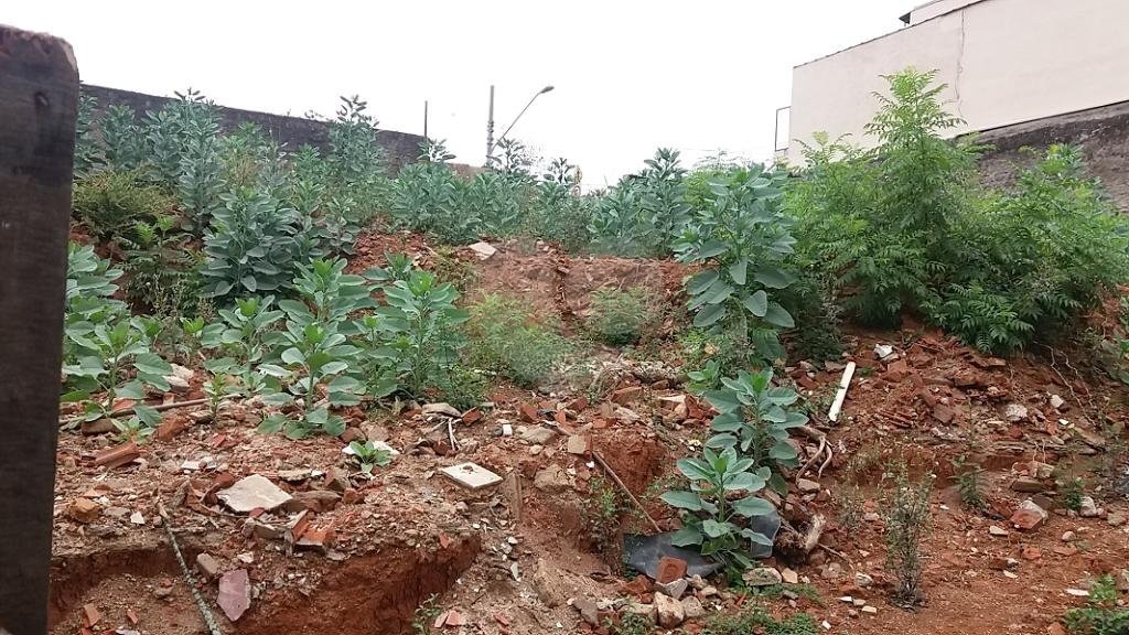 Terreno à venda em Limão, São Paulo, SP