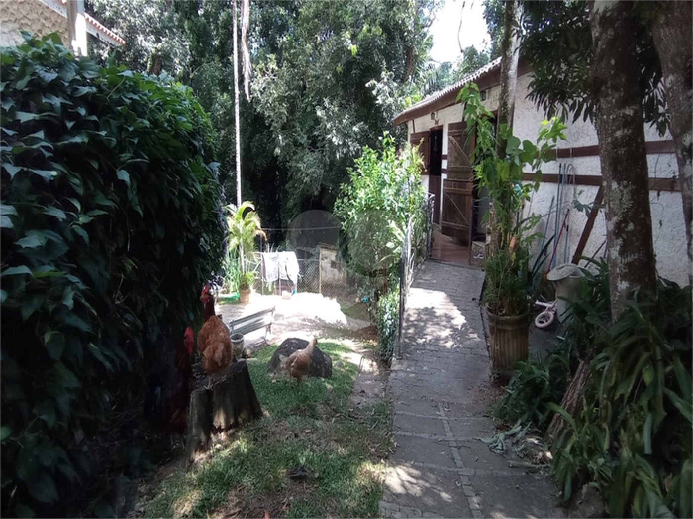 Casa Térrea à venda com 3 quartos, sendo 1 suíte, em Serra da Cantareira, Mairiporã, SP