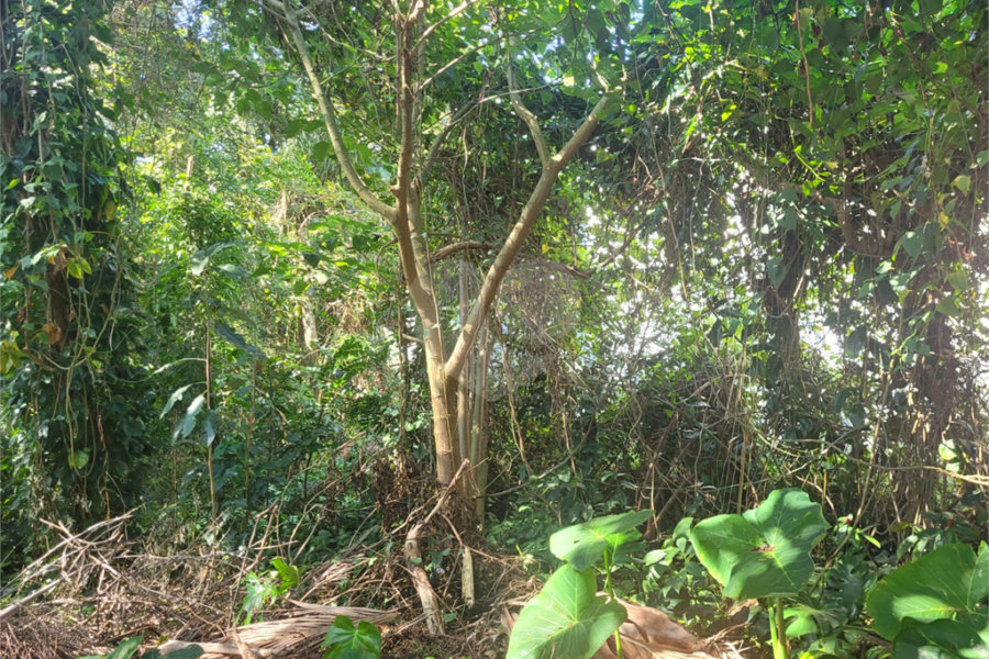 Casa à venda no condomínio Sausalito, Mairiporã - SP