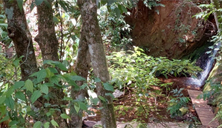 Terreno à venda em Vila Santo Antônio, São Roque, SP