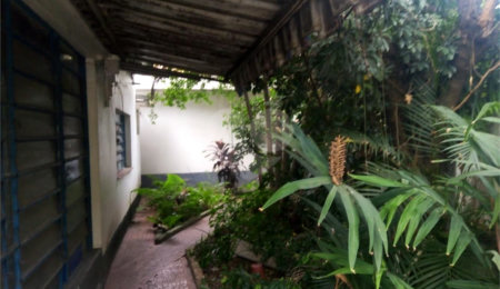 Casa à venda com 3 quartos em Vila Mariana, São Paulo, SP
