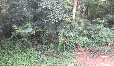 Terreno à venda em Roseira, Mairiporã, SP