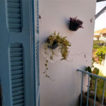 Sobrado à venda com 4 quartos, sendo 3 suítes,  em Vila Monumento, São Paulo, SP