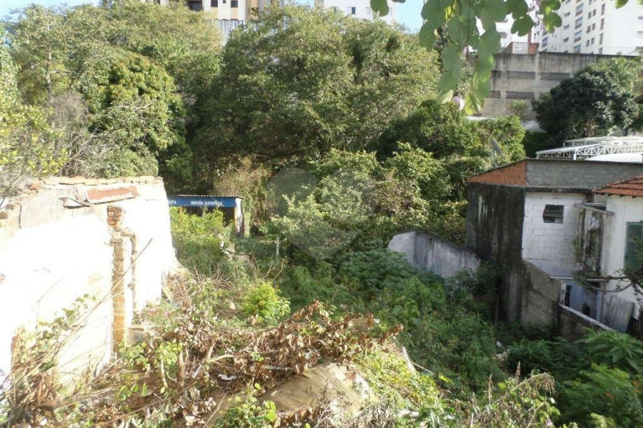 Terreno à venda ou para alugar em Água Fria, São Paulo, SP
