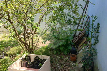 Sobrado à venda com 3 quartos, sendo 1 suíte,  em Vila Santo Estéfano, São Paulo, SP