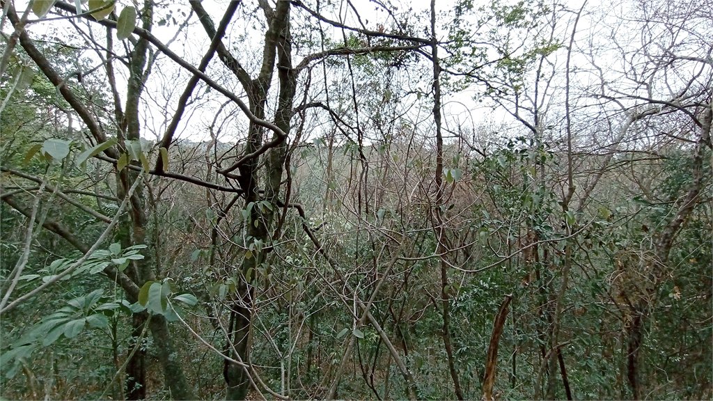 Terreno à venda em Chácaras Alpina, Valinhos, SP