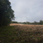 Sítio à venda com 5 quartos, sendo 1 suíte,  em Área Rural de Tapiraí, Tapiraí, SP