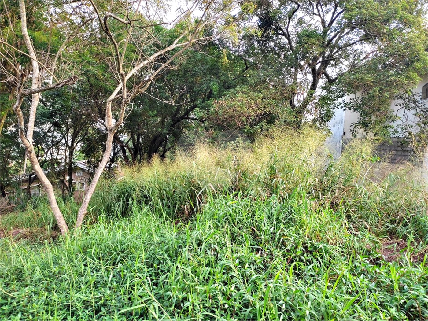 Terreno à venda em Tucuruvi, São Paulo, SP