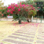 Terreno à venda em Estância Santa Maria do Portão, Atibaia, SP