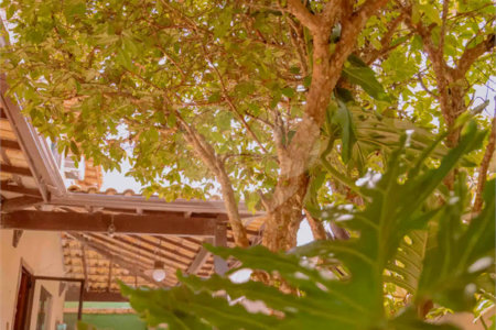 Casa à venda com 7 suítes em Bosque de Geribá, Armação dos Búzios, RJ
