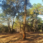 Condomínio de Chácaras Fazenda Elisa – Atibaia