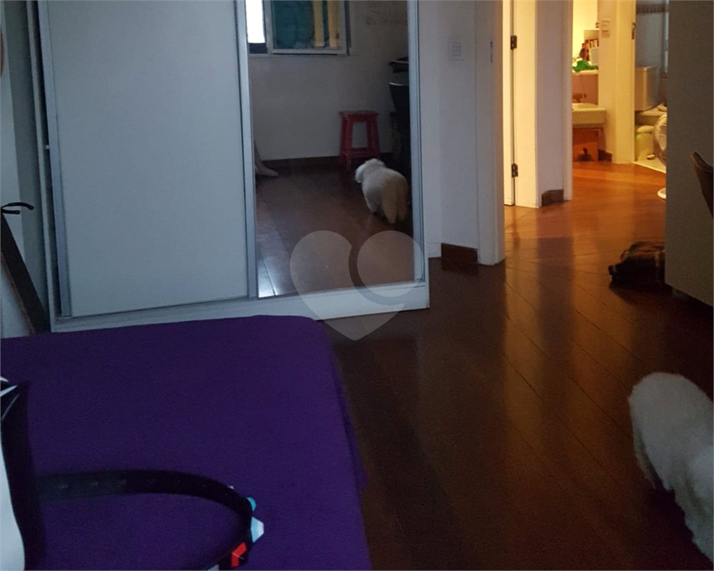 Apartamento à venda com 3 quartos, sendo 1 suíte, em Jardim São Paulo(zona Norte), São Paulo, SP