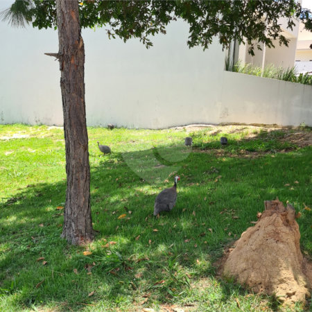 Terreno à venda no condomínio Renaissance, Sorocaba - SP