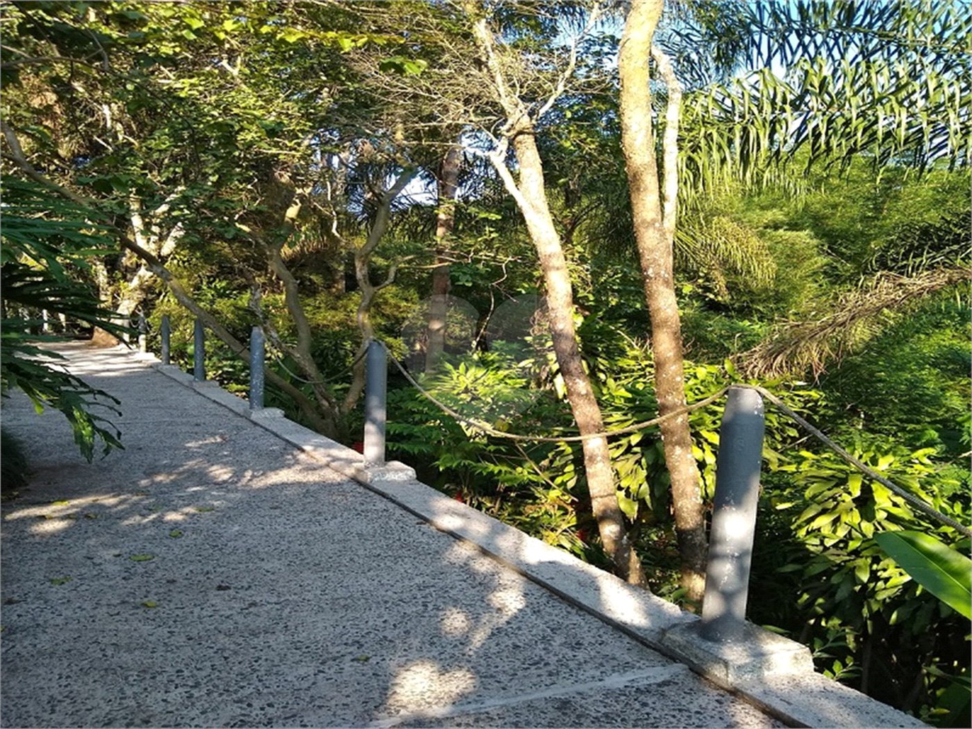 Sítio à venda com 6 quartos, sendo 2 suítes, em Nova Trieste, Jarinu, SP