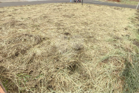 Terreno à Venda em São Carlos, no bairro Jardim Embaré