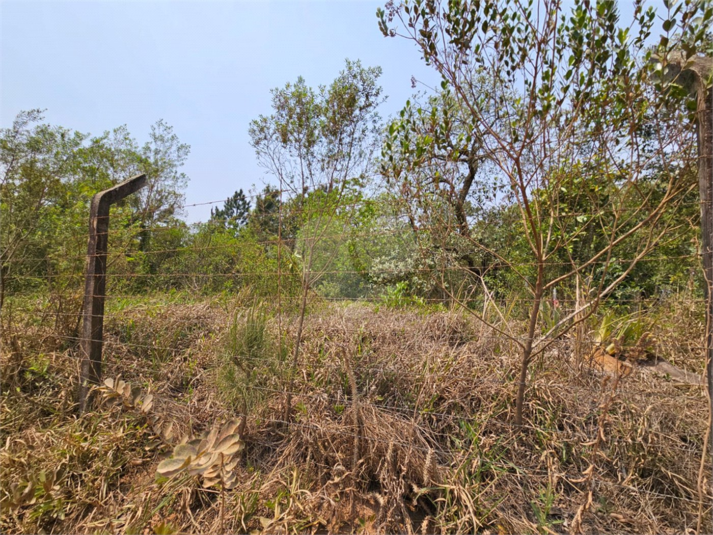 Terreno à venda em Curral, Ibiúna, SP