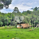 Casa à venda com 3 quartos, sendo 1 suíte, em Serra da Cantareira, Mairiporã, SP